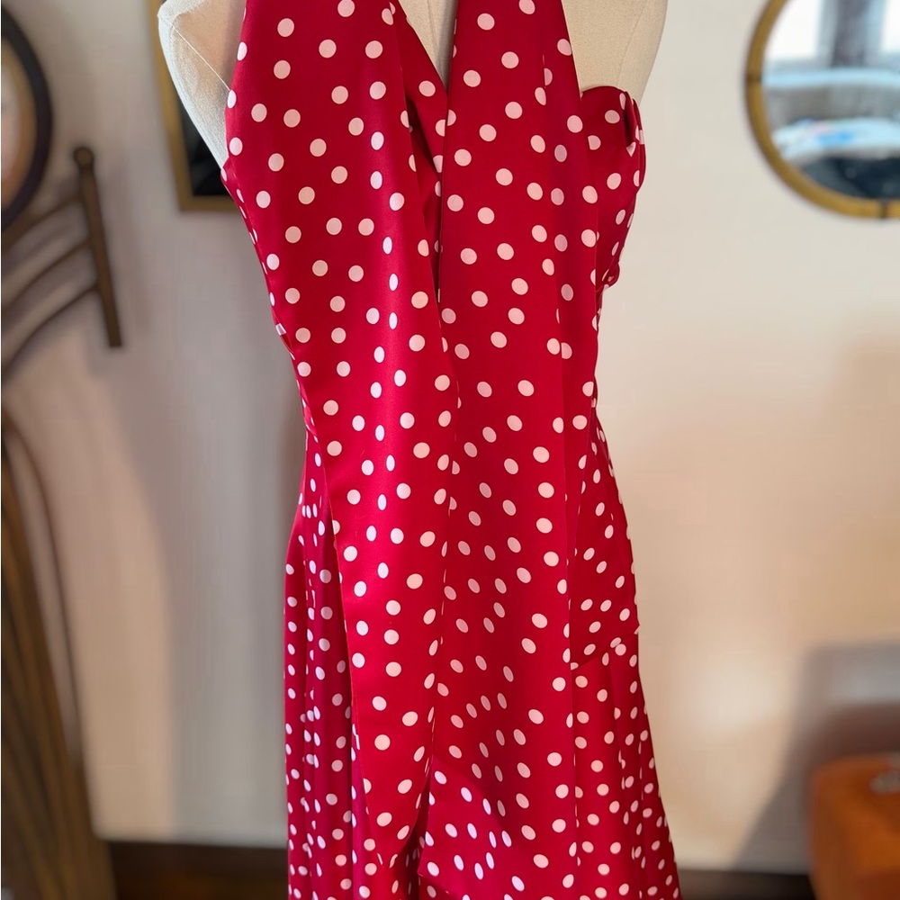 Fabulous Red Polka Dot Fit and Flare Dress! - Picture 3 of 16
